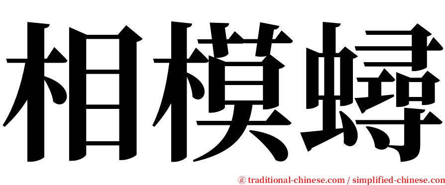 相模蟳 serif font