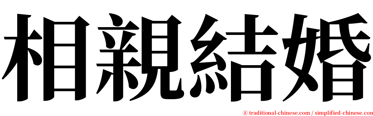 相親結婚 serif font