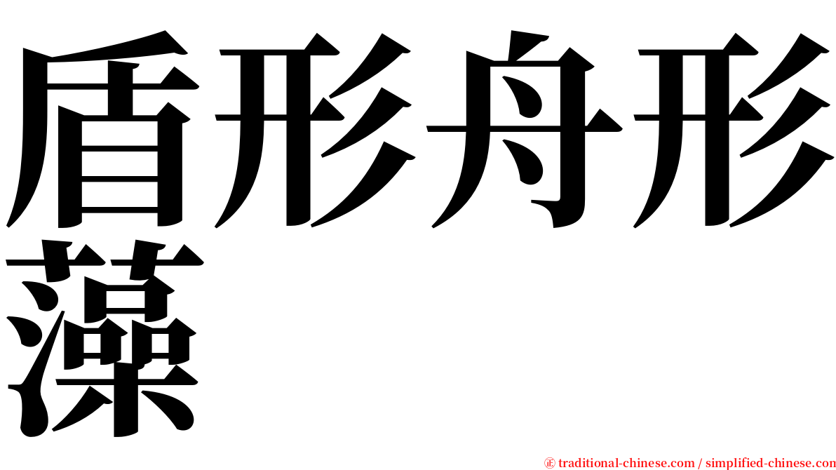 盾形舟形藻 serif font