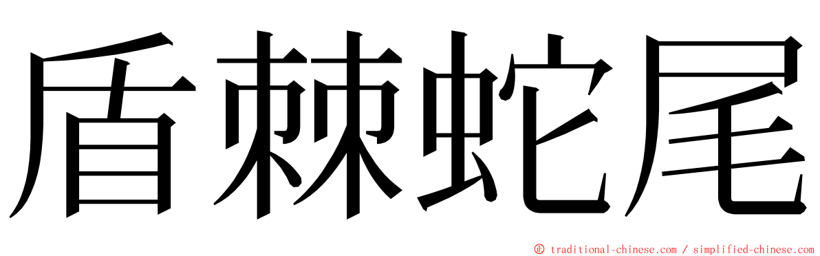 盾棘蛇尾 ming font