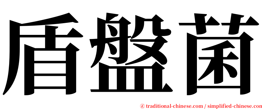 盾盤菌 serif font