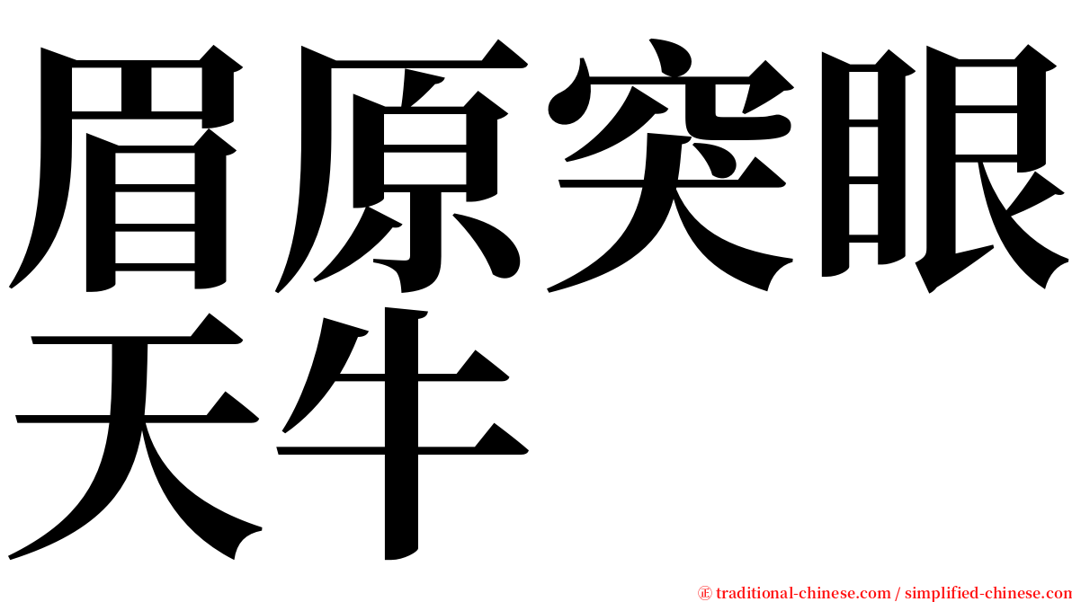 眉原突眼天牛 serif font