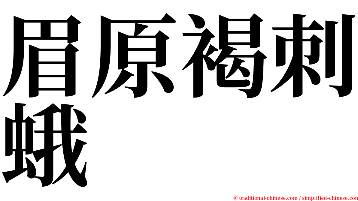 眉原褐刺蛾 serif font