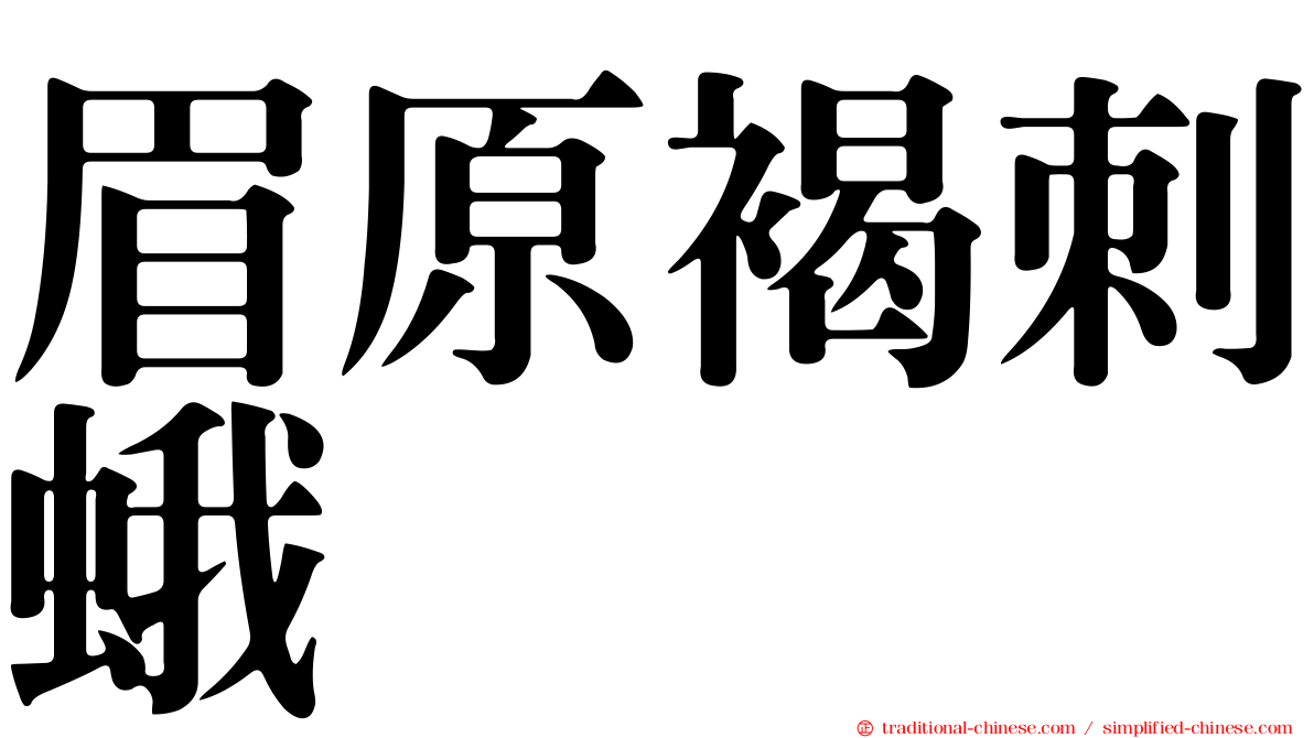 眉原褐刺蛾