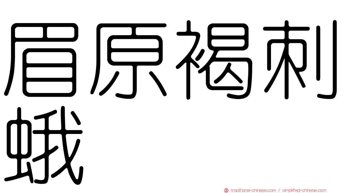 眉原褐刺蛾