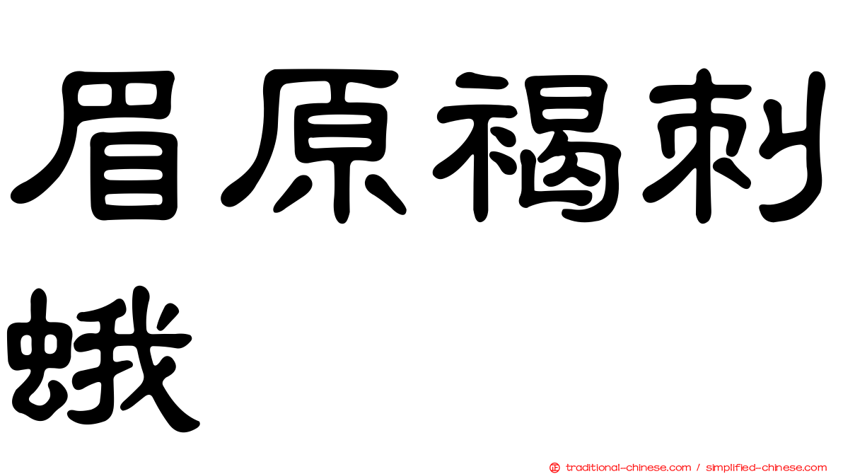 眉原褐刺蛾