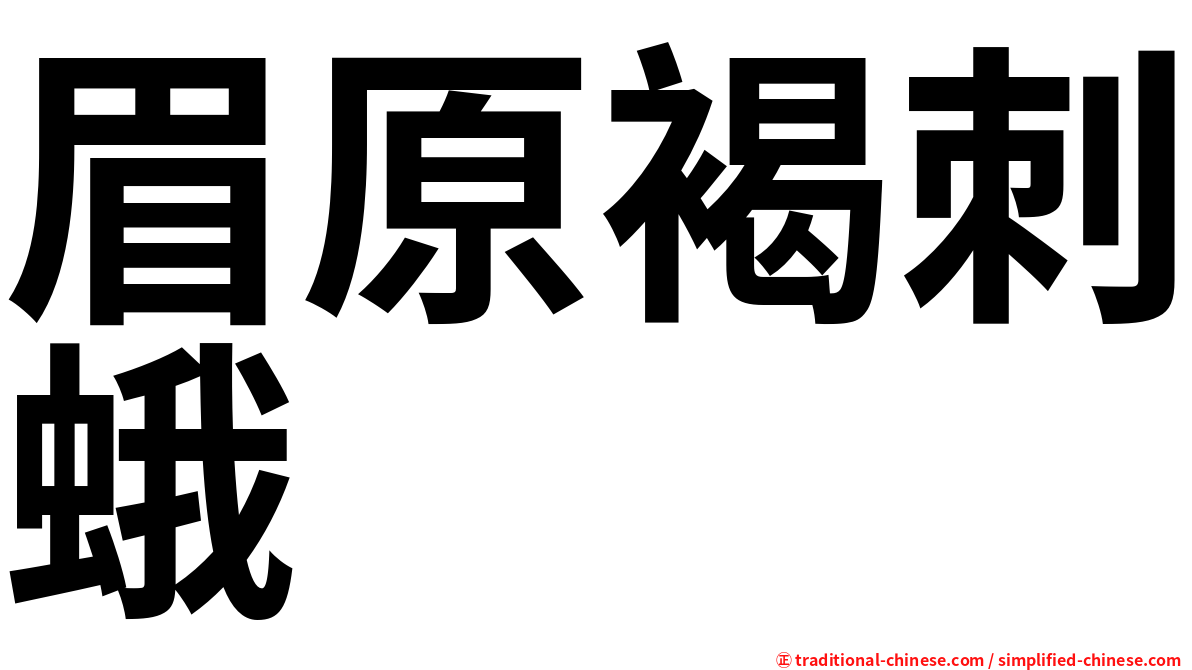 眉原褐刺蛾