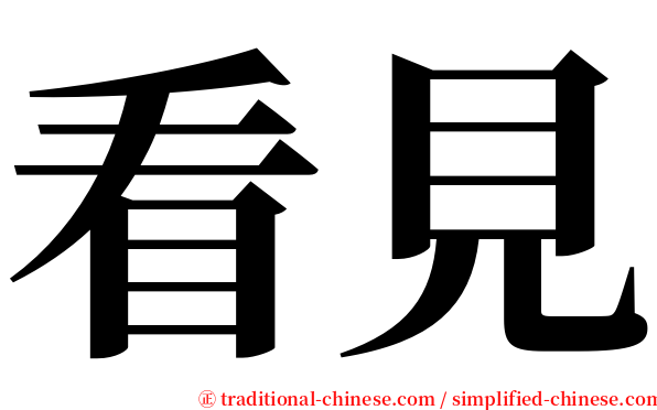 看見 serif font