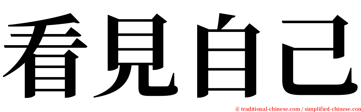 看見自己 serif font