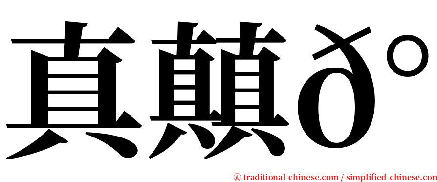 真㒹𰦌 serif font