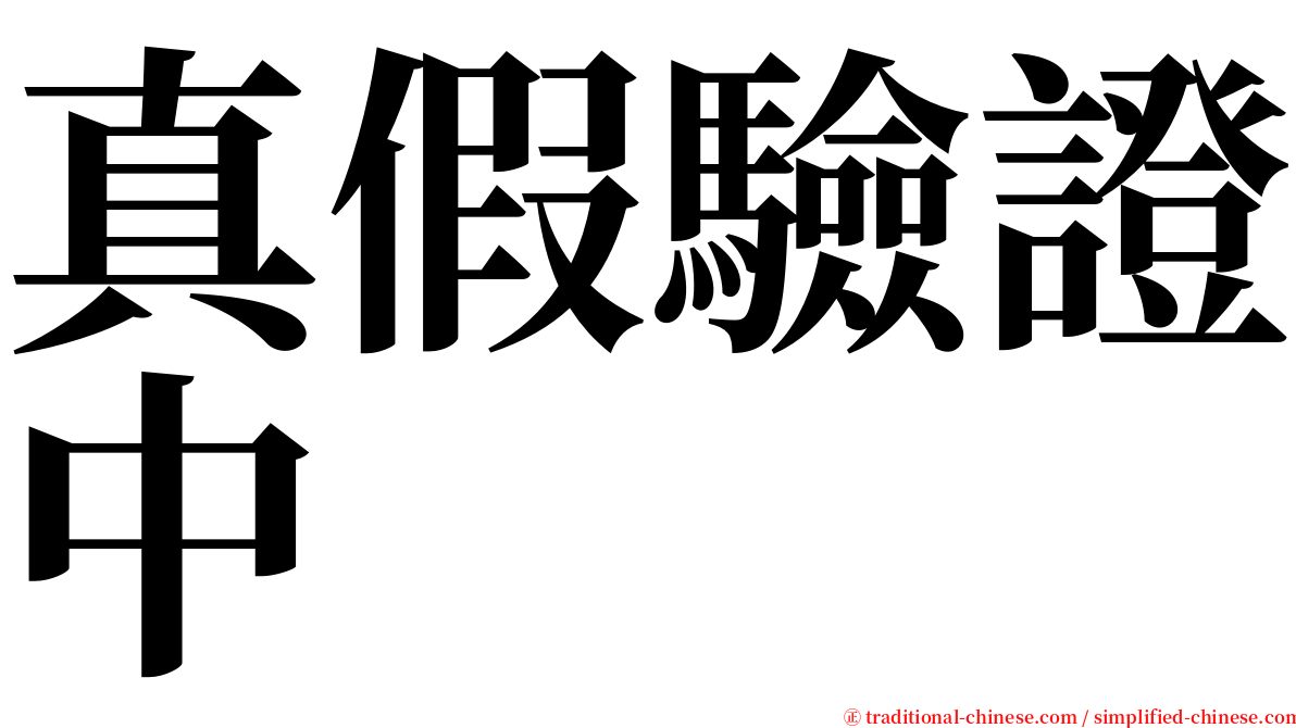 真假驗證中 serif font