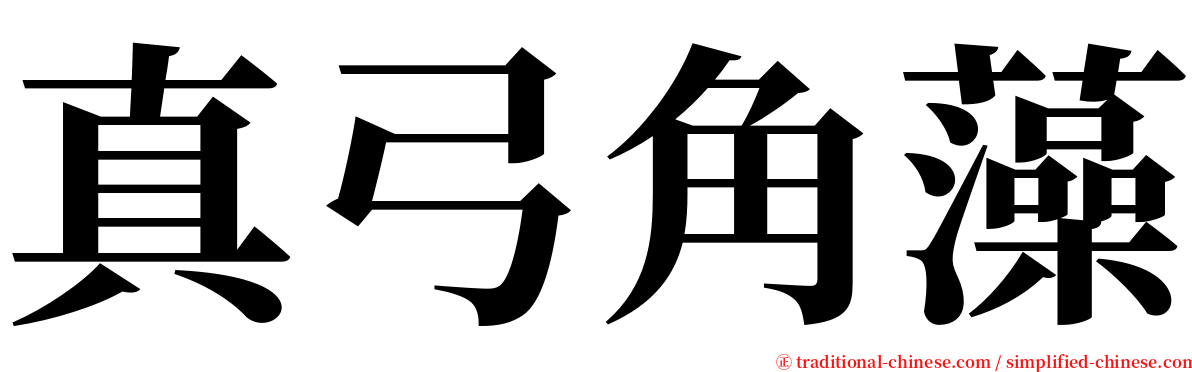 真弓角藻 serif font