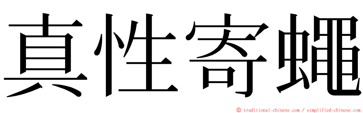 真性寄蠅 ming font