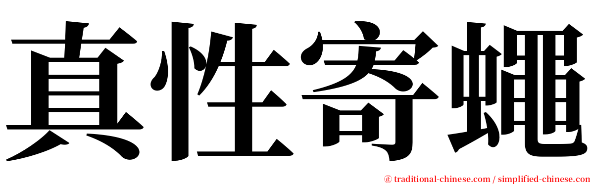 真性寄蠅 serif font