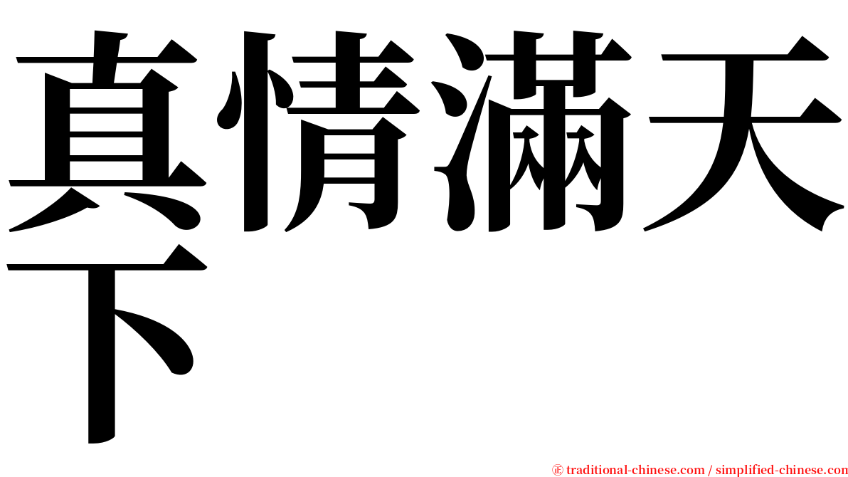 真情滿天下 serif font