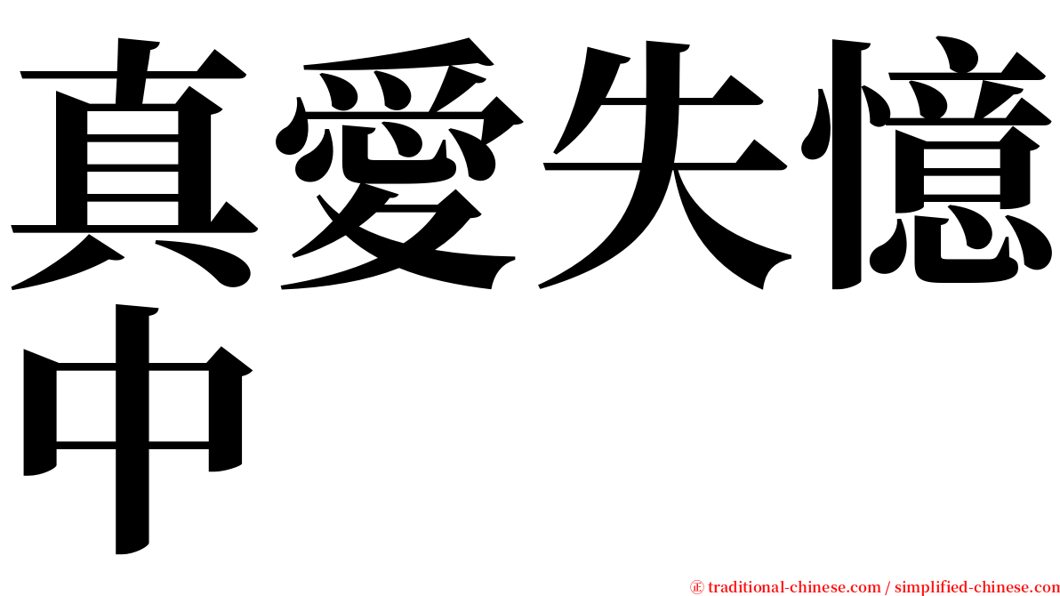 真愛失憶中 serif font