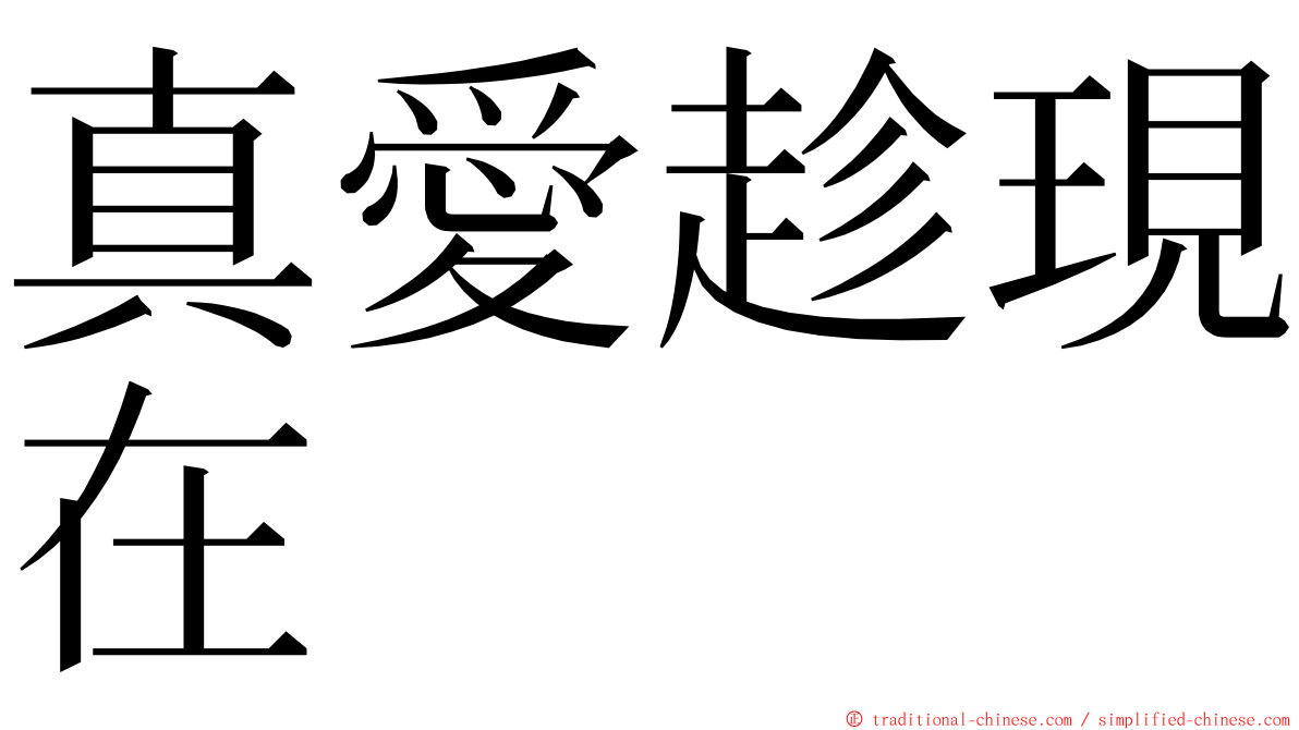 真愛趁現在 ming font