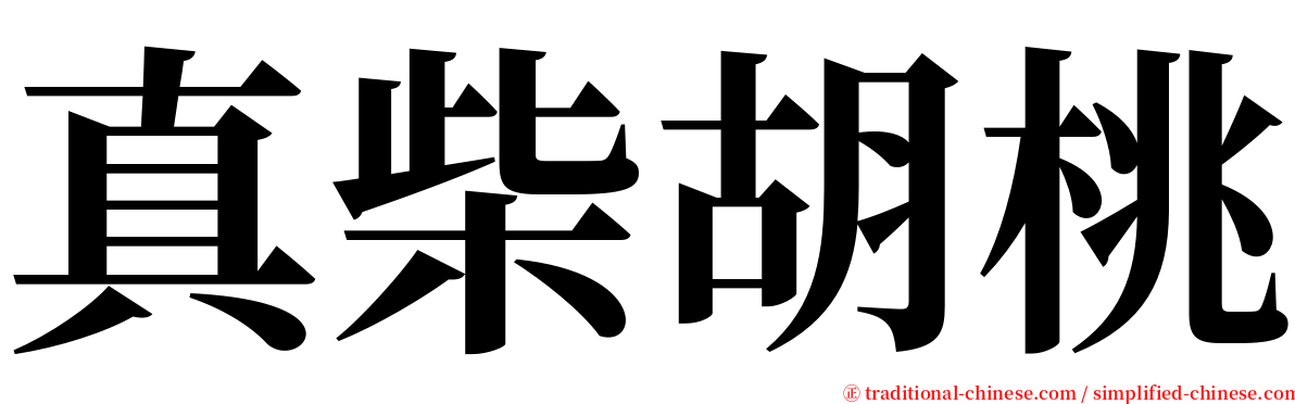 真柴胡桃 serif font