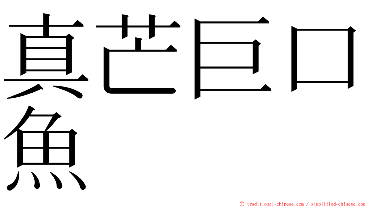 真芒巨口魚 ming font