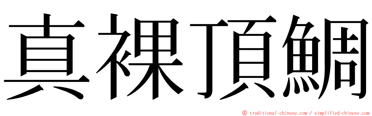 真裸頂鯛 ming font