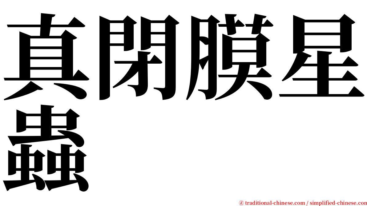 真閉膜星蟲 serif font