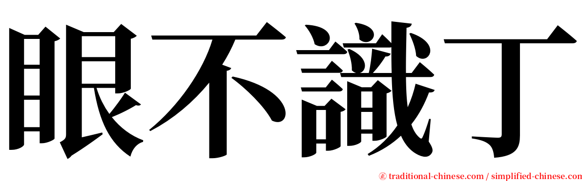 眼不識丁 serif font