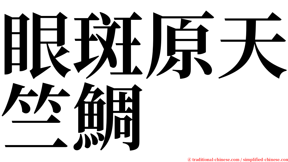 眼斑原天竺鯛 serif font