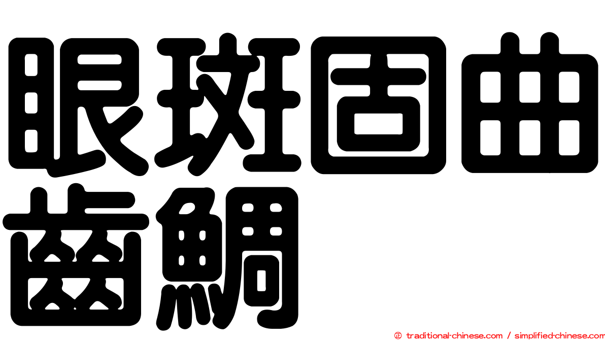 眼斑固曲齒鯛