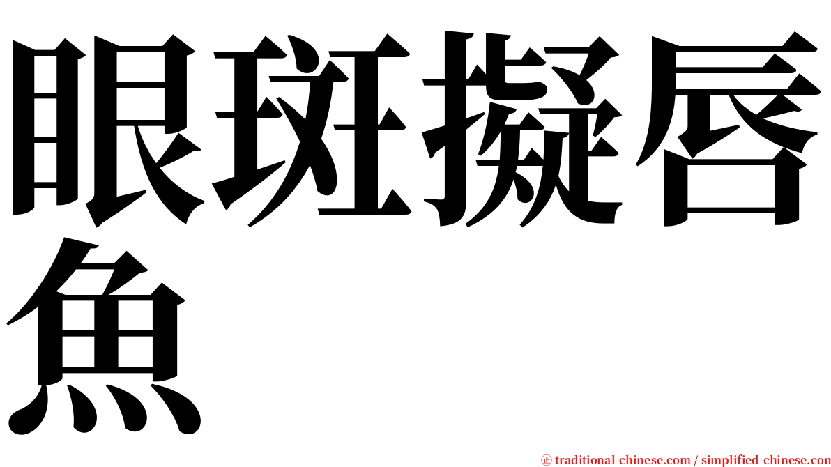 眼斑擬唇魚 serif font