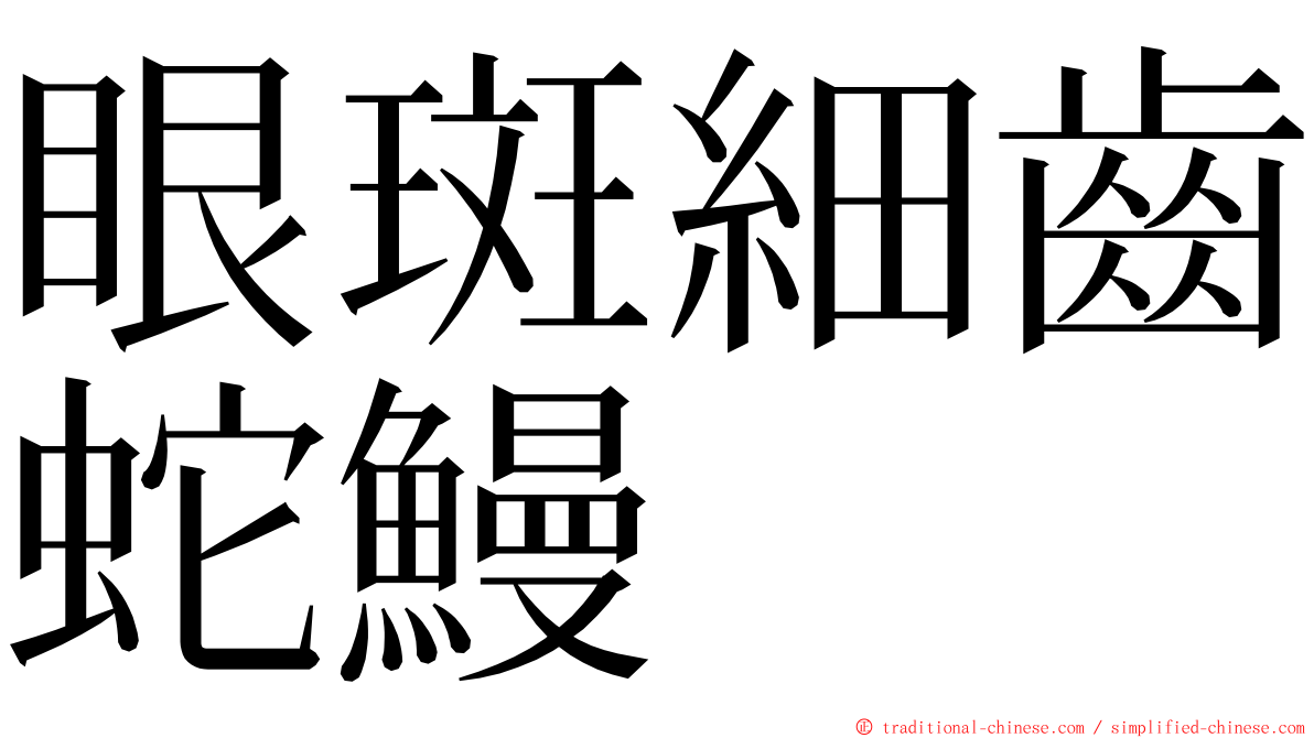 眼斑細齒蛇鰻 ming font