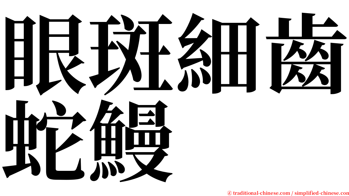 眼斑細齒蛇鰻 serif font