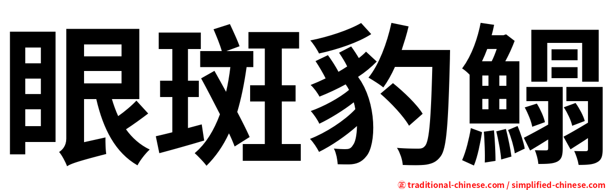 眼斑豹鰨