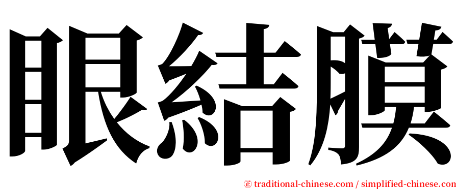 眼結膜 serif font