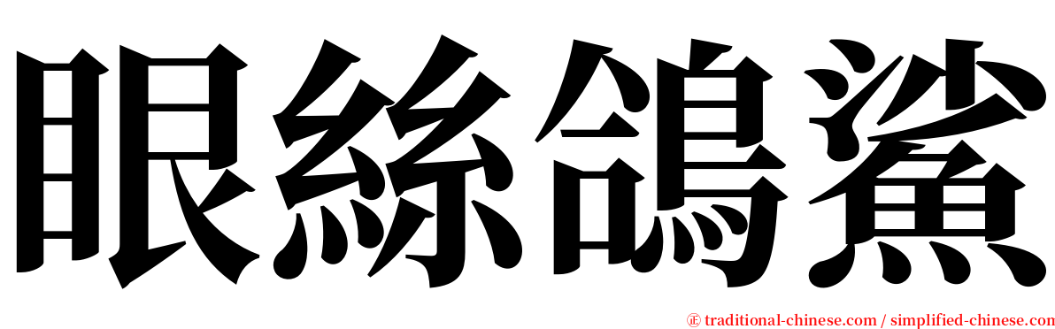 眼絲鴿鯊 serif font