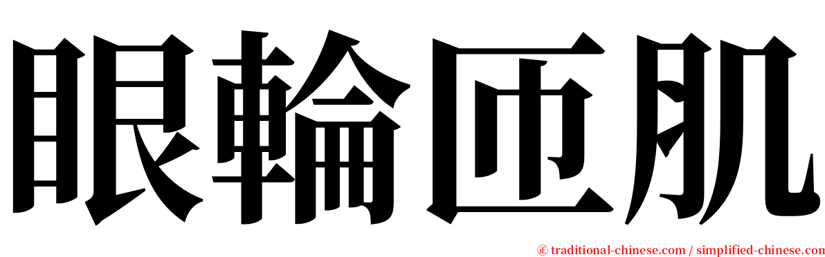 眼輪匝肌 serif font