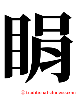 睊 serif font