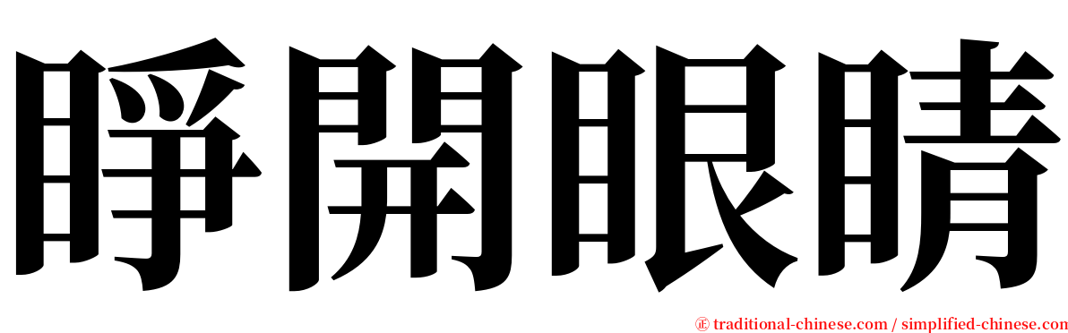 睜開眼睛 serif font