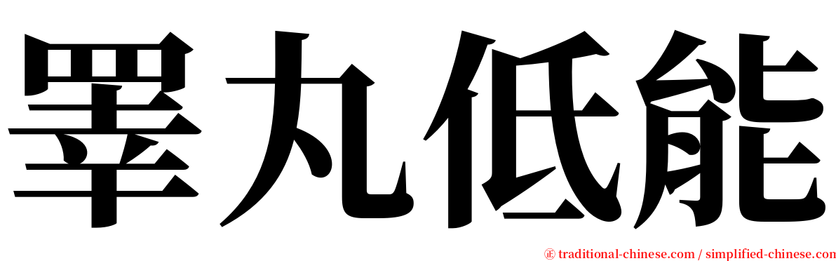 睪丸低能 serif font