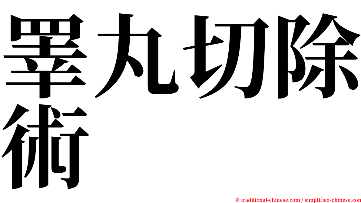 睪丸切除術 serif font