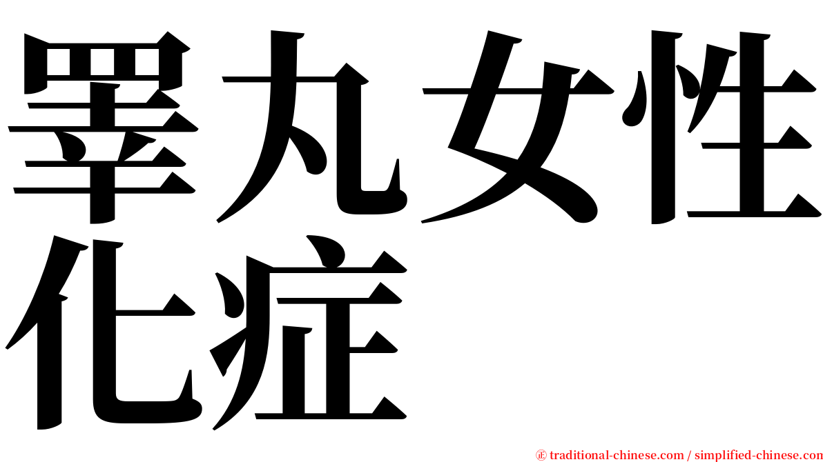 睪丸女性化症 serif font