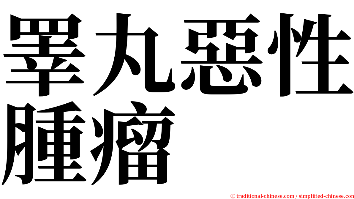 睪丸惡性腫瘤 serif font