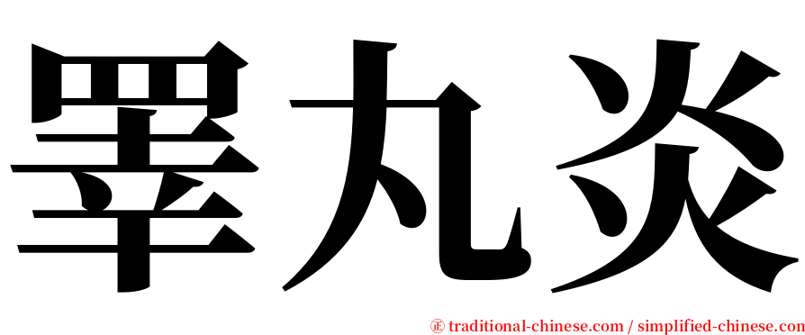 睪丸炎 serif font