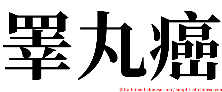 睪丸癌 serif font