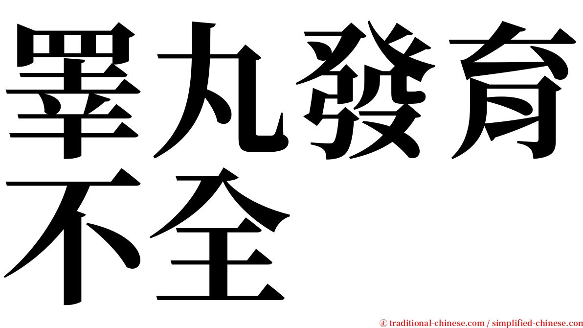 睪丸發育不全 serif font