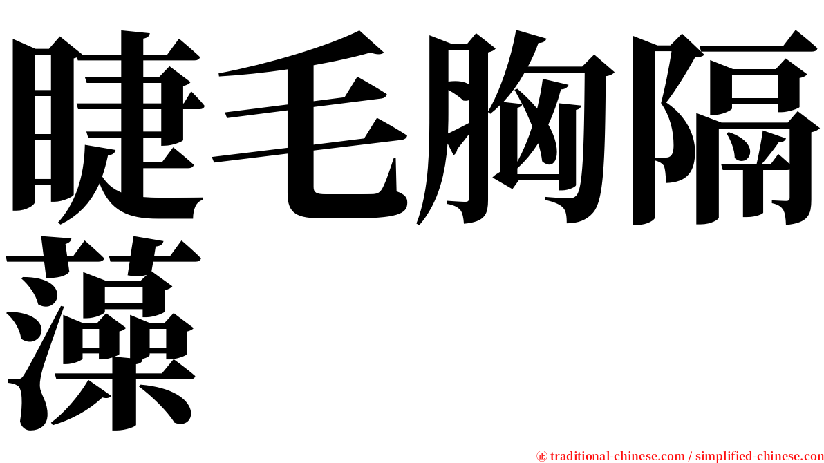 睫毛胸隔藻 serif font