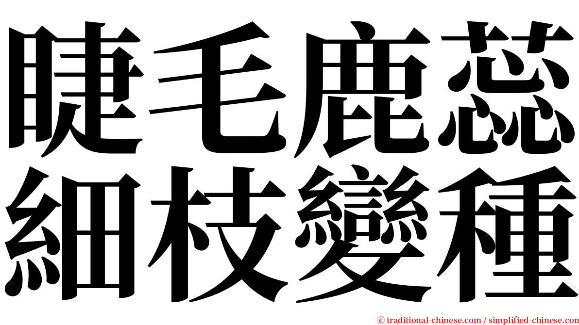 睫毛鹿蕊細枝變種 serif font