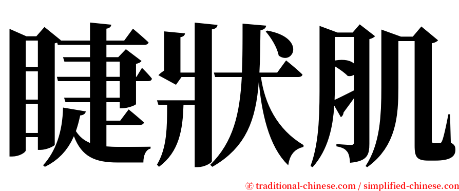 睫狀肌 serif font