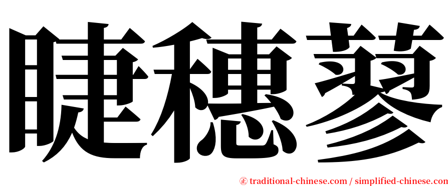 睫穗蓼 serif font