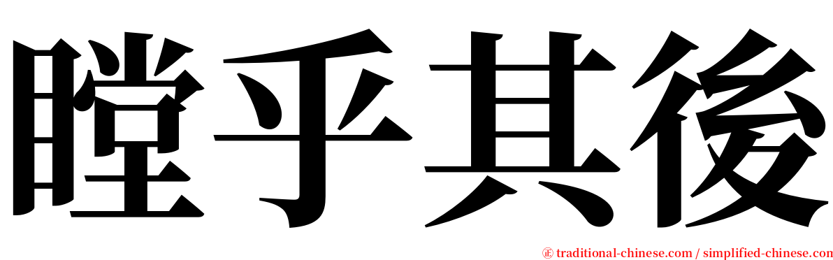 瞠乎其後 serif font