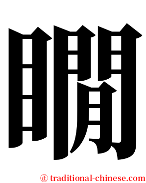 瞯 serif font